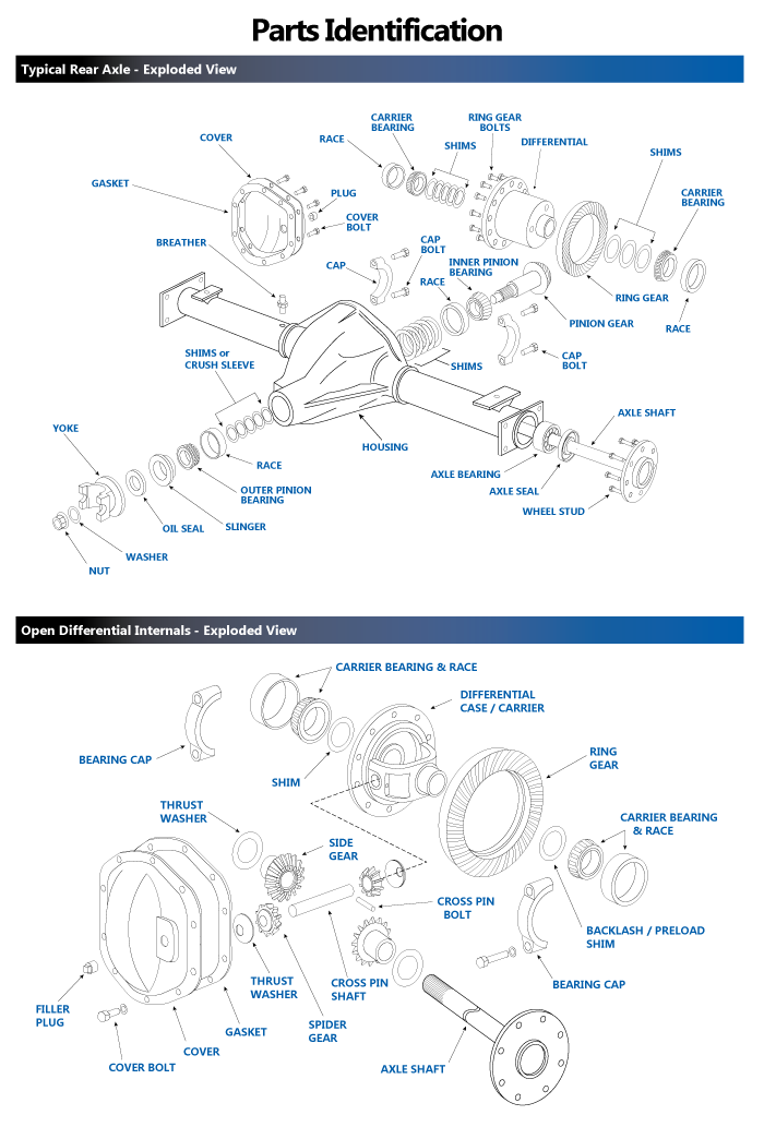 Differential Axle Exploded view